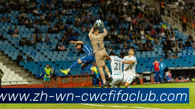 App Interface Preview