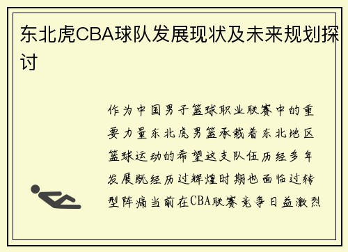 东北虎CBA球队发展现状及未来规划探讨